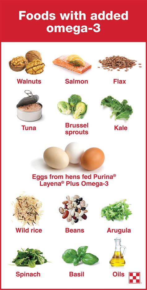 omega 3 food chart|omega 3 rich diet plan.